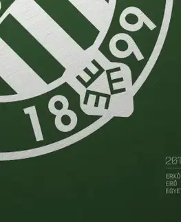 Futbal, hokej FTC évkönyv 2015 (DVD melléklettel)