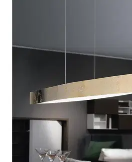 Svietidlá Eglo 93341 - LED závesné svietidlo FORNES LED/24W/230V 93341