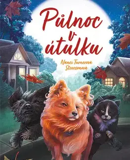 Young adults Půlnoc v útulku - Nanci Turnerová Stevesonová