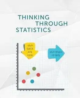 Ekonómia, Ekonomika Thinking Through Statistics - John Levi Martin
