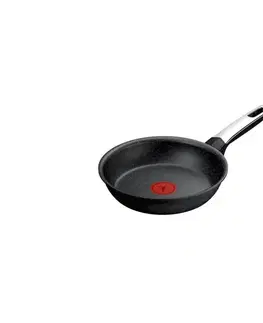 Panvice a hrnce Tefal - Panvica EXPERTISE 20 cm G3330243