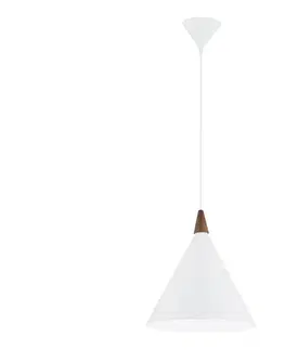 Svietidlá Argon 8631 - Luster na lanku KEGEL 1xE27/15W/230V biela 8631