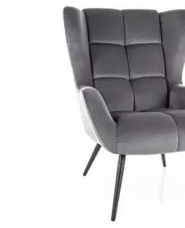 Kreslá Kreslo Louis Velvet