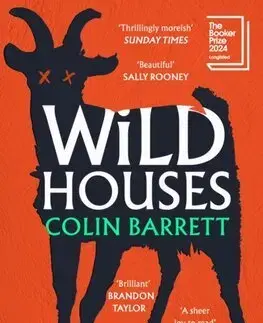 Svetová beletria Wild Houses - Colin Barrett