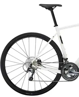 Cestné bicykle Trek Domane AL 4 Gen 4 Veľkosť: 49 cm