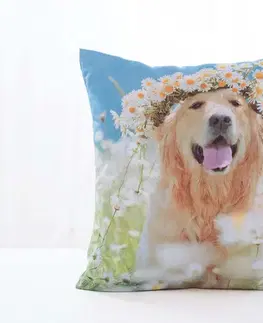 Dekoračné obliečky Carbotex Obliečka na vankúš 40 × 40 cm - Zlatý Retríver Amálka-  -