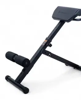 Posilňovacie lavice Hyperextenzia inSPORTline ON-X RC 20
