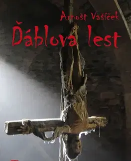 Detektívky, trilery, horory Ďáblova lest - Arnošt Vašíček
