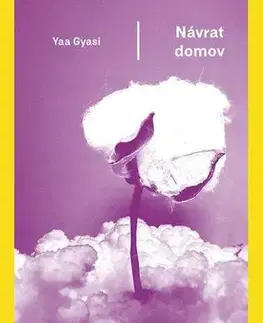 Romantická beletria Návrat domov - Yaa Gyasi