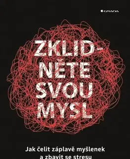 Motivačná literatúra - ostatné Zklidněte svou mysl - Nick Trenton