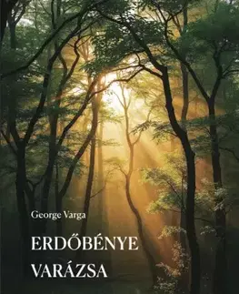 Svetová beletria Erdőbénye varázsa - Varga George
