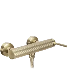 Kúpeľňové batérie REA - Sprchová batéria Argon BRUSH GOLD REA-B7806