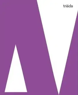 Dejiny, teória umenia Abstrakce a vcítění - Wilhelm Worringer,Martin Pokorný