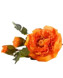 Záhradné dekorácie Iskerník 60cm oranžová A2010586