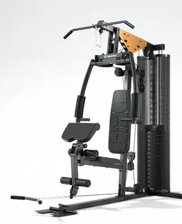 Posilňovacie veže Multifunkčná posilňovacia veža inSPORTline ProfiGym C45