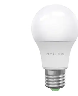 LED osvetlenie LED Žiarovka ECOLINE A60 E27/15W/230V 6500K - BRILAGI ZD-EA6015-65