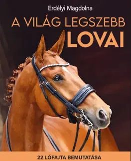 Príroda A világ legszebb lovai - Magdolna Erdélyi