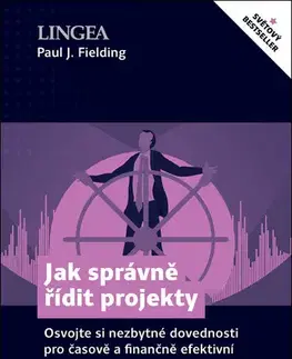 Manažment Jak správně řídit projekty - Paul J. Fielding