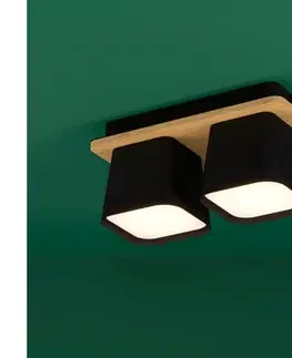 Svietidlá Eglo 390007 - Stropné svietidlo RUSCIO 2xE27/40W/230V čierna/hnedá 390007