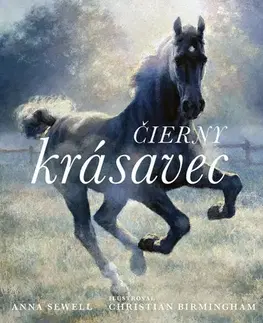 Rozprávky Čierny krásavec – ilustrované vydanie - Anna Sewell,Christian Birmingham,Eva Budjačová