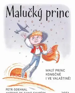 Pre deti a mládež - ostatné Malučký princ - Antoine de Saint-Exupéry,Petr Odehnal