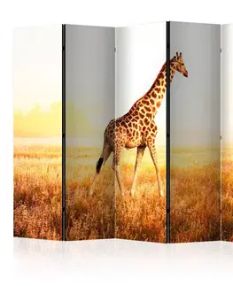 Paravány Paraván giraffe - walk Dekorhome