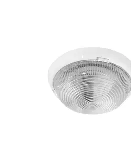 Svietidlá  SNL-100 - Vonkajšie stropné svietidlo LADY 1xE27/100W/230V
