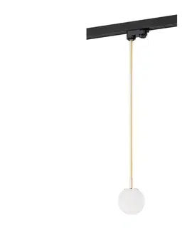 Svietidlá Argon 4308 - Luster na tyči do lištového systému BANG 1xG9/6W/230V mosadz 4308