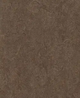 Marmoleum marbled fresco FORBO Marmoleum marbled fresco Walnut 3874