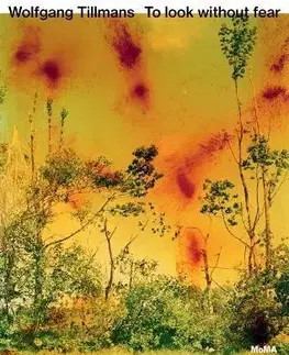 Fotografia Wolfgang Tillmans: To look without fear