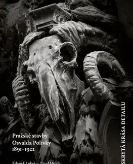 Architektúra Skrytá krása detailu - Zdeněk Lukeš,Pavel Hroch