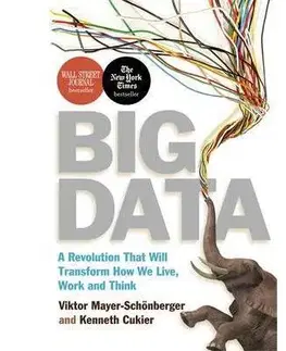 Cudzojazyčná literatúra Big Data - Viktor Mayer-Schönberger,Kenneth Cukier