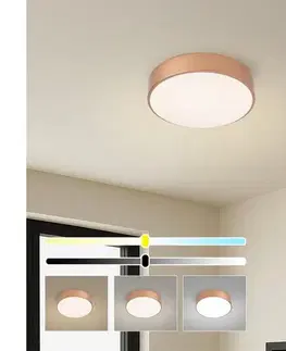 Svietidlá BRILAGI - Stmievateľné LED stropné svietidlo POOL LED/24W/230V pr. 20 cm bronzové +DO BRI1012