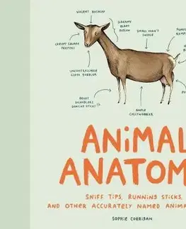 V cudzom jazyku Animal Anatomy - Sophie Corrigan