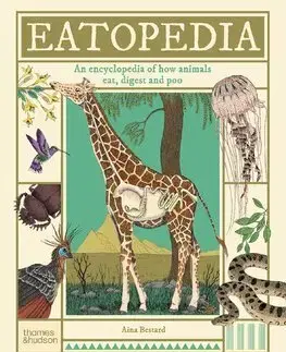 Príroda Eatopedia - Aina Bestard
