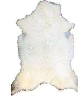 Moderné koberce Koža veľká