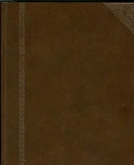 Literárna veda, jazykoveda Ottův slovník naučný XIII. - Kolektív autorov