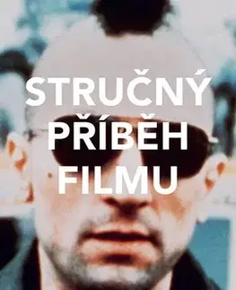 Film - encyklopédie, ročenky Stručný příběh filmu - Ian Haydn Smith