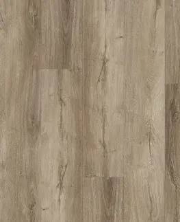 Thermofix pro wood FATRA Thermofix pre wood Dub lúčny 14161-1