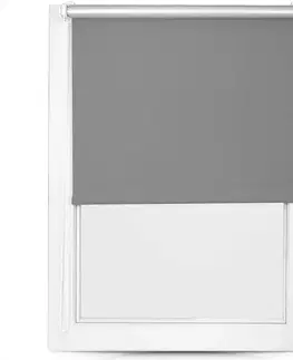 Rolety Roleta Mini Silver 68/215 MGR SXL-061