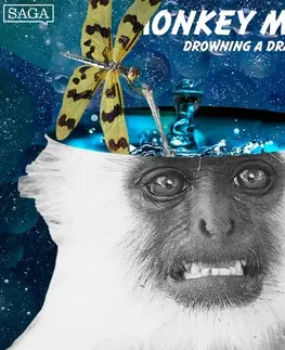 Humor a satira Saga Egmont Drowning a Dragonfly (EN)