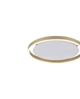 Svietidlá Leuchten Direkt 15391-60 - LED Stmievateľné stropné svietidlo RITUS LED/20W/230V 15391-60