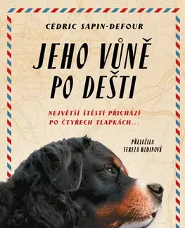 Romantická beletria Jeho vůně po dešti - Cedric Sapin-Defour