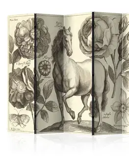 Paravány Paraván Horse Dekorhome