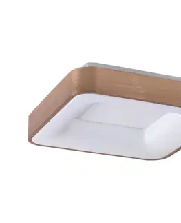 Svietidlá Rabalux 5056 - LED Stropné svietidlo CARMELA LED/30W/230V 5056
