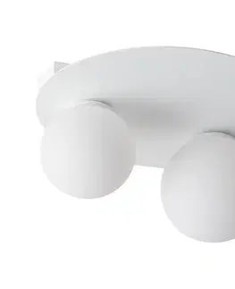 Svietidlá  Stropné svietidlo ARGON 2xG9/12W/230V biela 33265