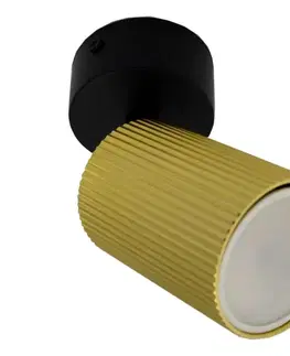 Svietidlá  Bodové svietidlo ELAN 1xGU10/30W/230V zlatá/čierna SKU047179