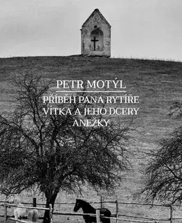 Česká beletria Příběh pana rytíře Vítka a jeho dcery Anežky - Petr Motýl