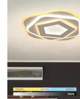 Svietidlá BRILAGI - LED stropné svietidlo MODERN MINI LED/53W/230V 3000-6000K + diaľkové ovládanie BRMXX1182-S-53W