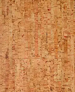 Wise cork inspire AMORIM WICANDERS Wise cork inspire Traces natural 80003481